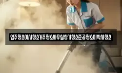 입주청소이사청소거주청소사무실상가청소준공청소이박사청소