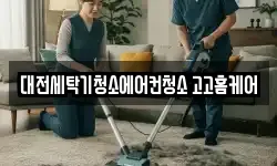 대전세탁기청소에어컨청소 고고홈케어
