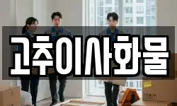 고추이사화물