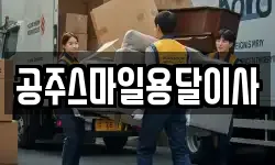 충청남도 공주시 이사,용달이사,포장이사,원룸이사,보관이사