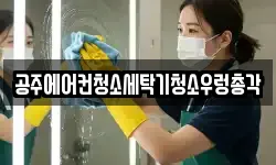충청남도 공주시 청소,입주청소,사무실청소,에어컨청소
