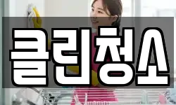 클린청소