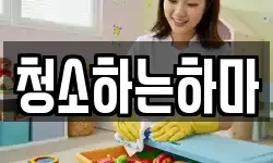 청소하는하마