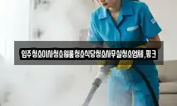 입주청소이사청소원룸청소식당청소사무실청소업체,핑크