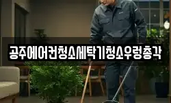 충청남도 공주시 금흥동 청소,입주청소,사무실청소,에어컨청소