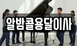 알밤콜용달이사