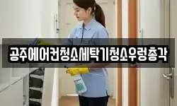 충청남도 공주시 무릉동 청소,입주청소,사무실청소,에어컨청소