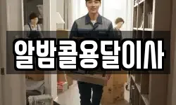알밤콜용달이사