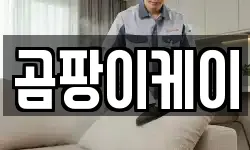 충청남도 공주시 반죽동 청소,입주청소,사무실청소,에어컨청소