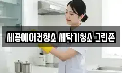 세종에어컨청소 세탁기청소 그린존