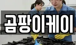 충청남도 공주시 봉황동 청소,입주청소,사무실청소,에어컨청소