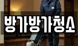 방가방가청소