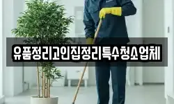 충청남도 공주시 석장리동 청소,입주청소,사무실청소,에어컨청소