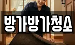 방가방가청소