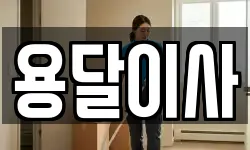 용달이사
