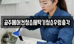 충청남도 공주시 신관동 청소,입주청소,사무실청소,에어컨청소