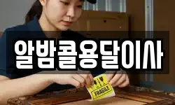 알밤콜용달이사