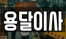 용달이사