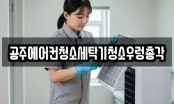 충청남도 공주시 쌍신동 청소,입주청소,사무실청소,에어컨청소