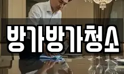 방가방가청소