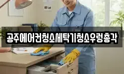 충청남도 공주시 월미동 청소,입주청소,사무실청소,에어컨청소