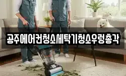 충청남도 공주시 월송동 청소,입주청소,사무실청소,에어컨청소