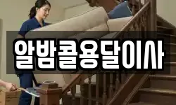 알밤콜용달이사