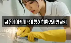 공주에어컨세탁기청소 친환경자연클린