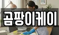 충청남도 공주시 중동 청소,입주청소,사무실청소,에어컨청소