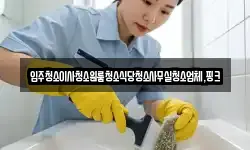 충청남도 공주시 탄천면 청소,입주청소,사무실청소,에어컨청소