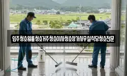 입주청소원룸청소거주청소이사청소상가사무실식당청소전문