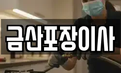 금산포장이사