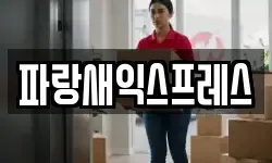 파랑새익스프레스
