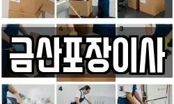 금산포장이사