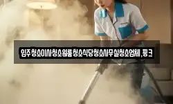 입주청소이사청소원룸청소식당청소사무실청소업체,핑크