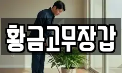 황금고무장갑