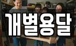 개별용달
