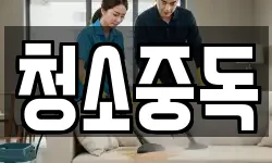 청소중독