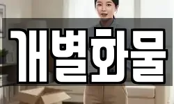 개별화물