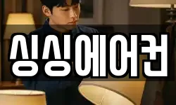 싱싱에어컨