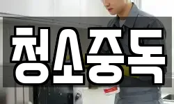 청소중독