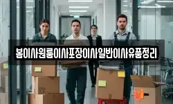 봄이사원룸이사포장이사일반이사유품정리