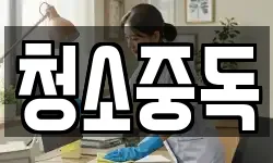청소중독