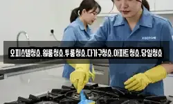 오피스텔청소.원룸청소.투룸청소.다가구청소.아파트청소.당일청소