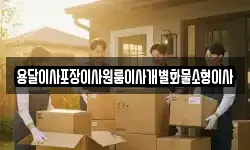 용달이사포장이사원룸이사개별화물소형이사