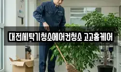 대전세탁기청소에어컨청소 고고홈케어