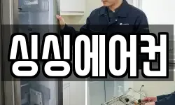 싱싱에어컨