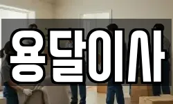 용달이사
