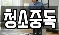 청소중독