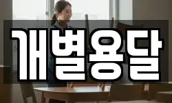 개별용달